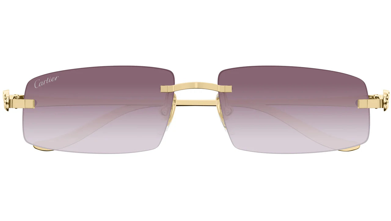 Framevault Sunglasses "Purple/Gold" (Copy)
